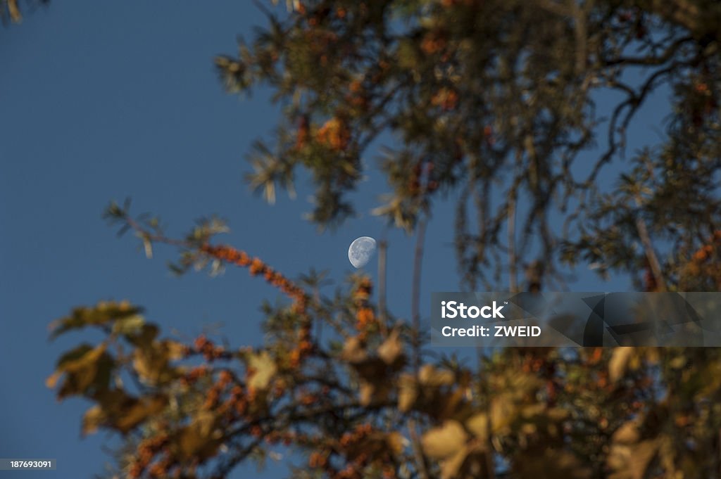 Mond am Morgen - Lizenzfrei Der Mann im Mond Stock-Foto