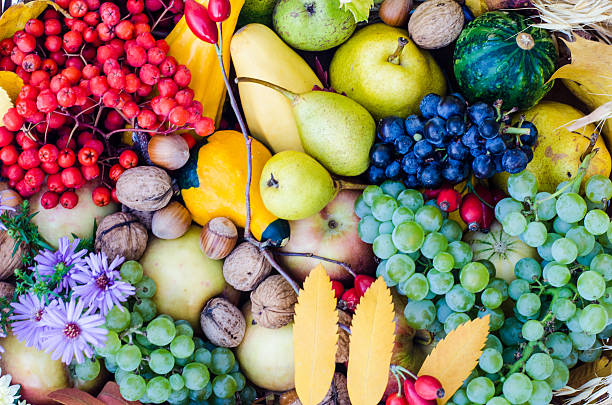 istock autumn fruits 187693157