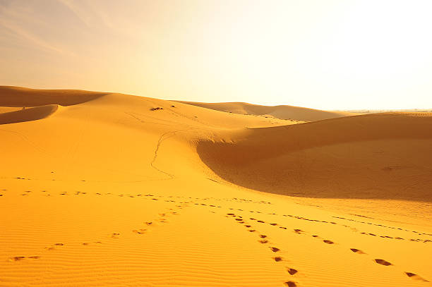 Deserts and Sand Dunes Landscape stock photo