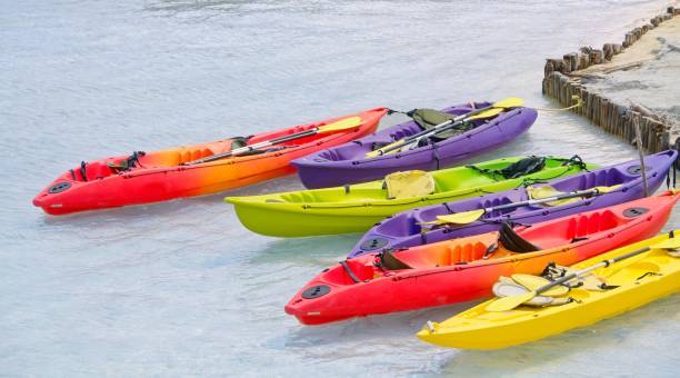 istock Kayaks Tied Up Near Shore 1876941776