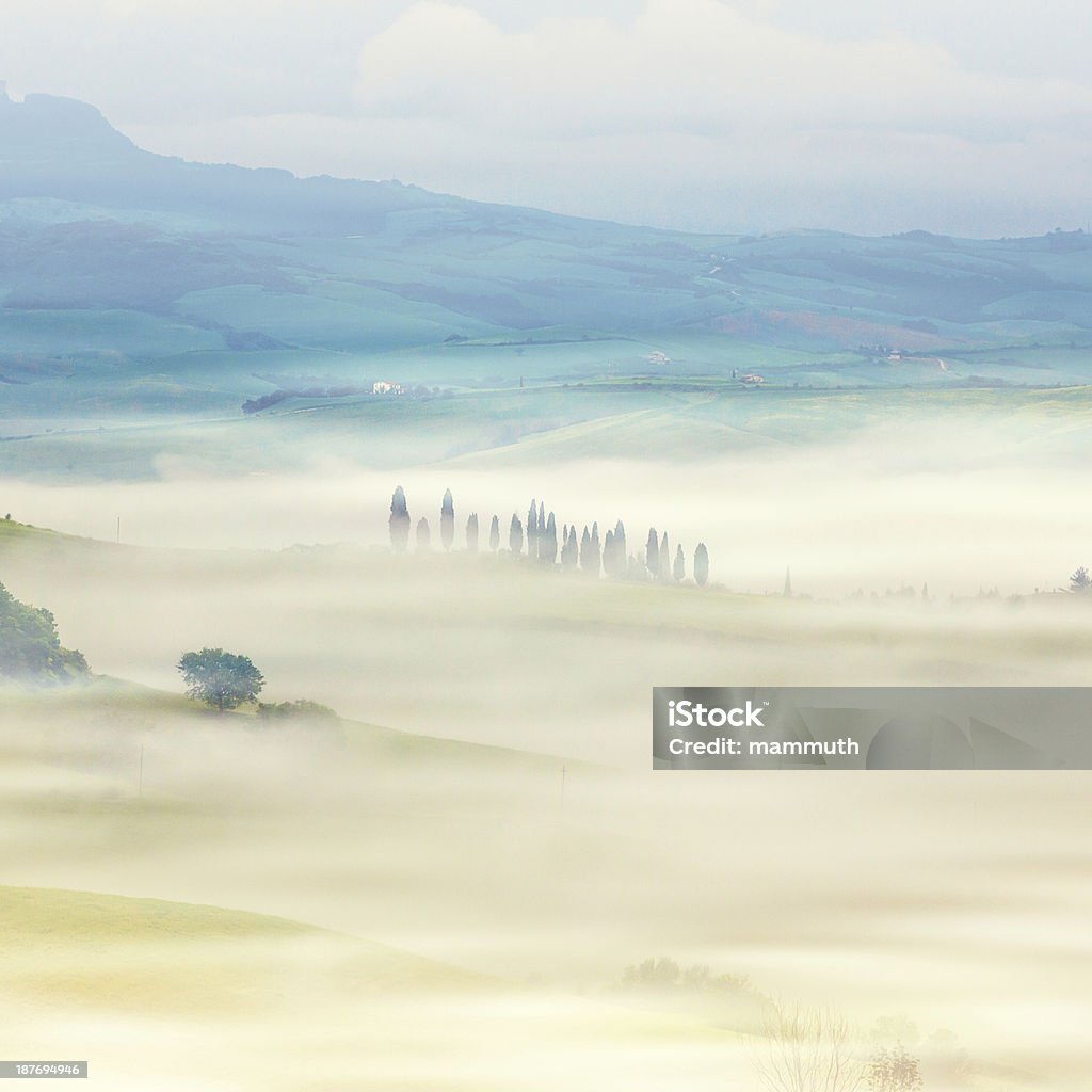 Niebla de la mañana en Toscana - Foto de stock de Aire libre libre de derechos