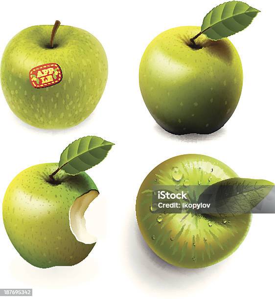 세트마다 버처 잘 익은 사과들 4개의 다양한 보기 0명에 대한 스톡 벡터 아트 및 기타 이미지 - 0명, 가냘픈, 계절