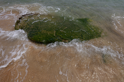 Green algae covered rocks, Yalong Bay, Sanya City, South China