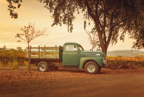 vintage truck parked on a vineyard in california.