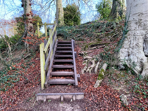 Old wooden staircase in woodland in Norfolk. December 2023