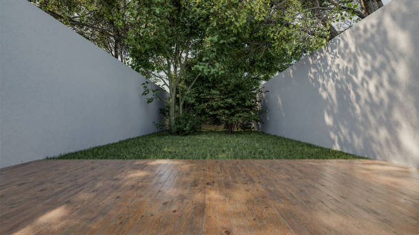 istock Tranquil Backyard Retreat: Sunlit Trees and Lush Greenery 1877005970