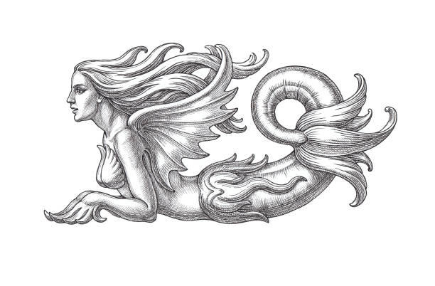 Hand drawn illlustration in the engraving style, young mermaid, decorative element.