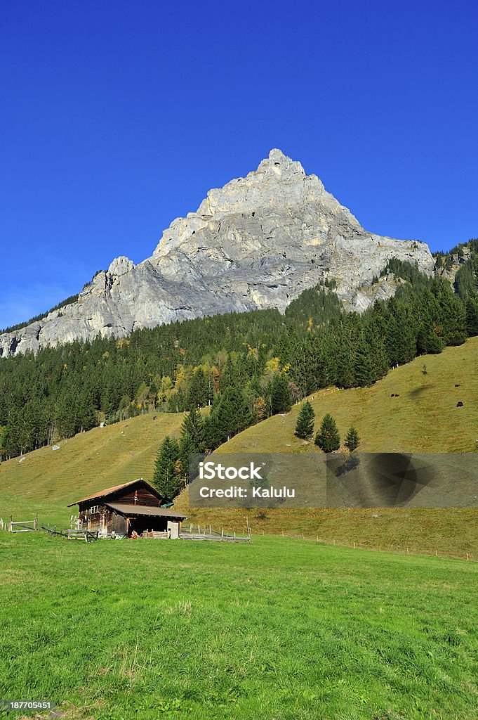 Escena de Suiza - Foto de stock de Aire libre libre de derechos