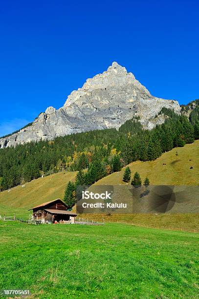 Escena De Suiza Foto de stock y más banco de imágenes de Aire libre - Aire libre, Aislado, Alpes Bernese