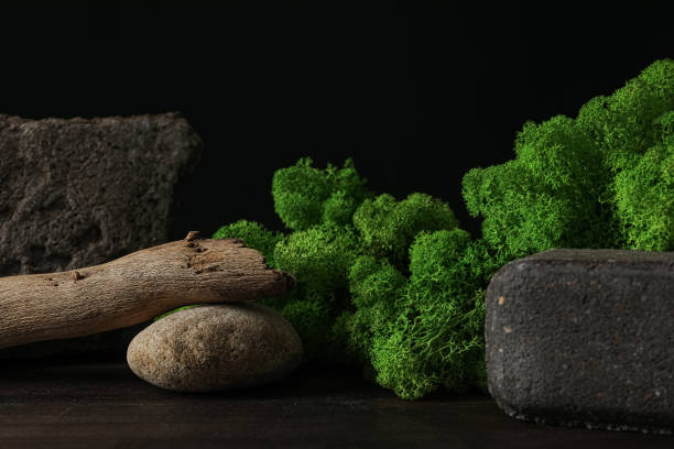 istock Moss, different backgrounds for nature concept, moss and wood, moss and stones 1877067610