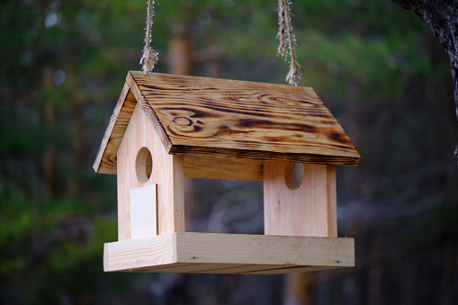 Bird feeder form house background of forest