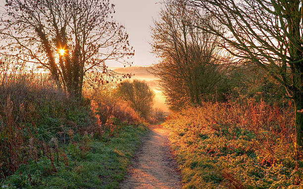 i cotswolds modo, gloucestershire - bridle path foto e immagini stock