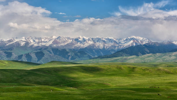 トランス・イリ・アラタウ(カザフスタン)の雪に覆われた山々を背景にした絵のように美しい高原
