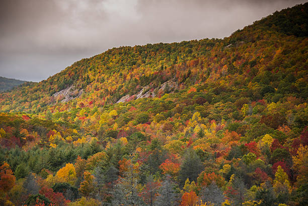 colorido panthertown valley - panoramic great appalachian valley the americas north america fotografías e imágenes de stock