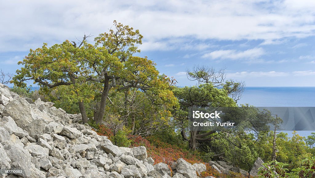 Autumnal landscape of the Black Sea shore Autumnal landscape of the Black Sea shore in natural reserve on Cape Martyan near Yalta city, Ukraine. Autumn Stock Photo