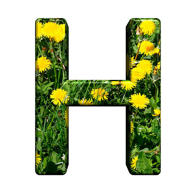 istock One letter from floral alphabet set 187710937