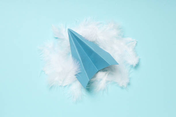 istock Paper plane and feathers on blue background 1877111110