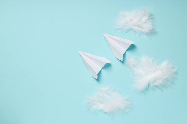 istock Paper planes and feathers on blue background 1877113808