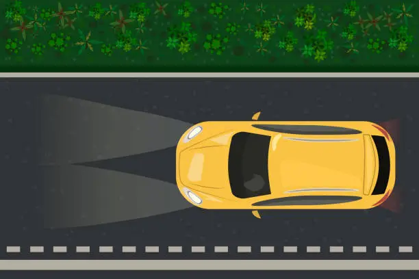 Vector illustration of Car drive on road at night. Automobile ride on dark nighttime street.