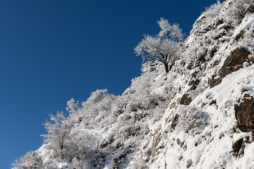 Dramatic snowy mountain panorama , izmit, TURKEY