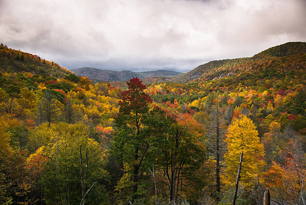 panthertown valley - panoramic great appalachian valley the americas north america fotografías e imágenes de stock