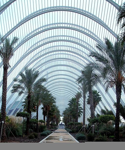 istock Arches Over The Palms Of Valencia 187712972
