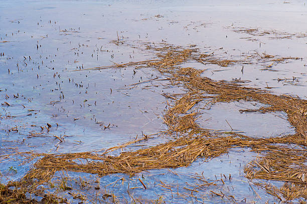 Lago Cerknica - foto de stock