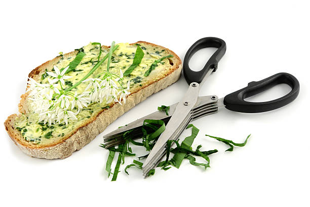 herb butter wild garlic (Allium ursinum) on bread cutting wild garlic leaves for herb butter. in background a heab scissors on white isolated background zigeunerlauch stock pictures, royalty-free photos & images