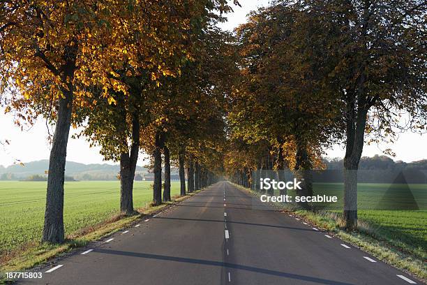 Outono Estrada - Fotografias de stock e mais imagens de Paisagem - Cena Não Urbana - Paisagem - Cena Não Urbana, Skane, Suécia