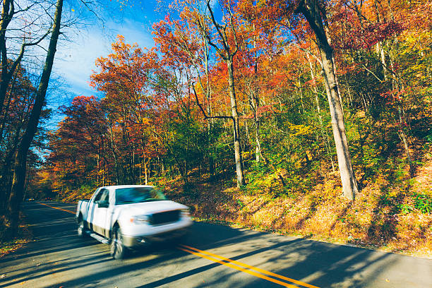 istock Car driving in the forest 187715893
