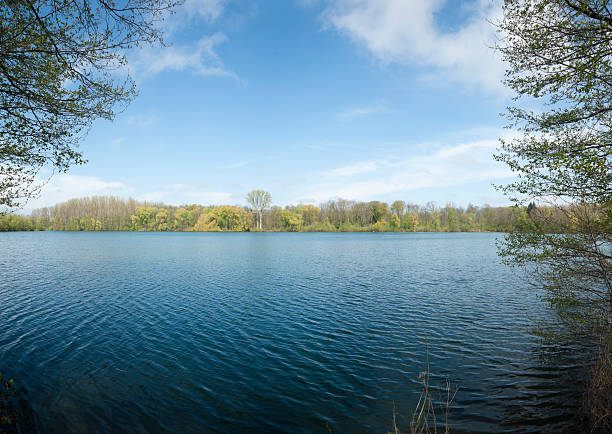 istock Springtime at a lake conservation area [nature reserve] 187715970