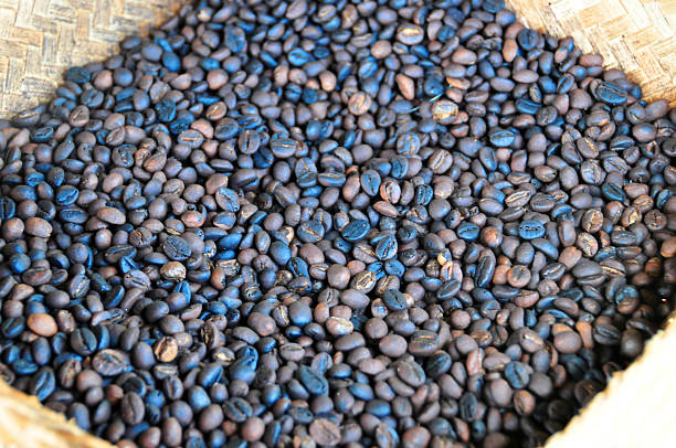 istock Kopi luwak, aka civet coffee 187718725