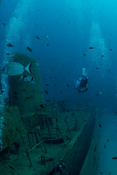 istock tugboat rozi in Malta 187719404