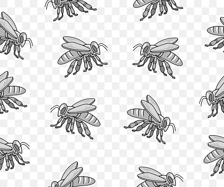 Bee, insect, animal, apiary and beekeeping, seamless vector background and pattern. Honey bee, bee-garden and apiculture, vector design and illustration