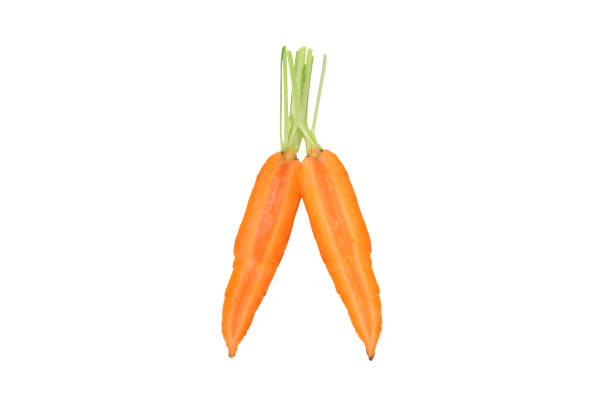 Vegetables: Two Carrots Isolated on White Background. Studio shot.
