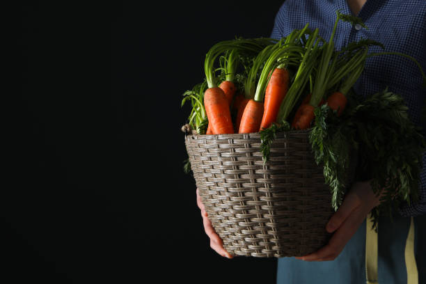 istock Fresh carrot, concept of harvest, space for text 1877194549
