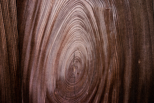 Old wooden cut surface with cracks and annual rings. Rough and detailed texture of a felled tree trunk or stump.
