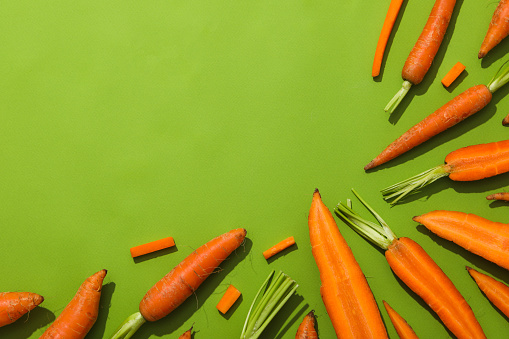 Fresh carrot, concept of harvest, space for text