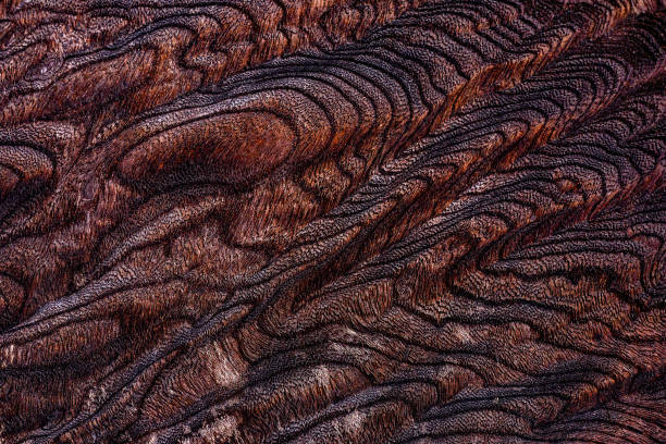 istock Beautiful wood grain. Wood background. Wood grain pattern texture backgrounds 1877195257