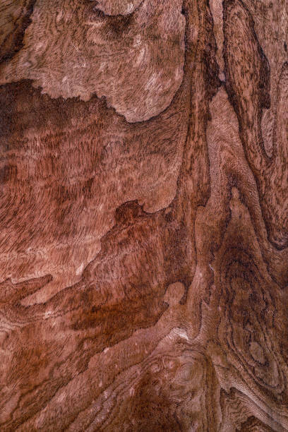 istock Beautiful wood grain. Wood background. Wood grain pattern texture backgrounds 1877195303