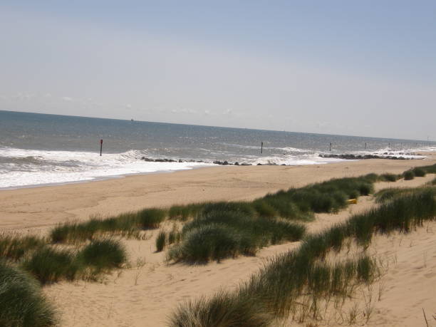 istock Beach sea view across sand dunes 1877195444