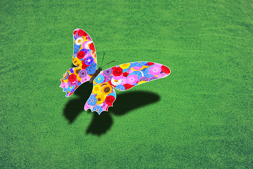 Butterfly flying over a green meadow, with shadow, shadow cast, designed as a graphic with many different colored flowers, blossoms, light blue, purple, pink, red, yellow, white