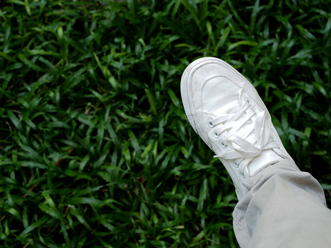 white canvas shoes on green and wooden backgrjound classic style easy and smooth life style