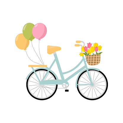 Cute romantic blue bicycle with balloons and a basket of tulips. Isolated on white background. Vector flat illustration. Retro bicycle with spring flowers.