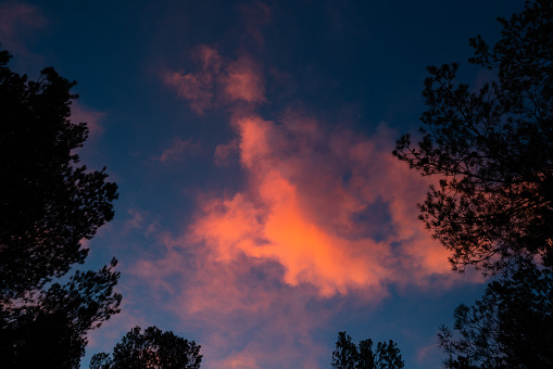 Pink Colored cloud during the sunrise