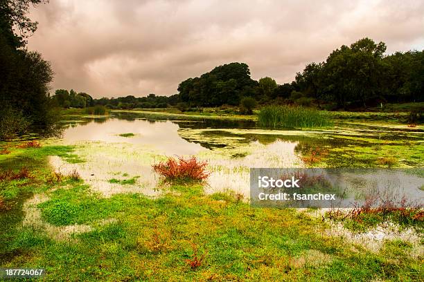 River Tietar Stockfoto und mehr Bilder von Anhöhe - Anhöhe, Architektur, Baum