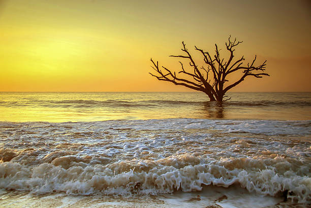 istock The Golden Sunrise 187725117