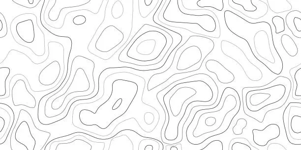 Vector illustration of Sea topography pattern. Line map sketch background, terrain texture. Geo relief contour, mountain altitude, wavy trail, territory navigation, topo grid. Geographic sketch vector backdrop