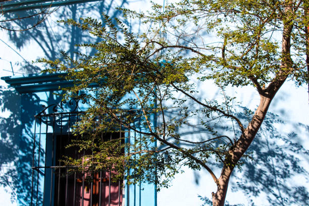 istock Blue house in Oaxaca Mexico 1877277501
