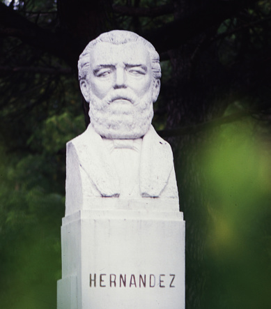 Jose Rafael Hernandez Buenos Aires, October 21, 1886 was an Argentine poet, politician, journalist and military man, especially known as the author of Martín Fierro,